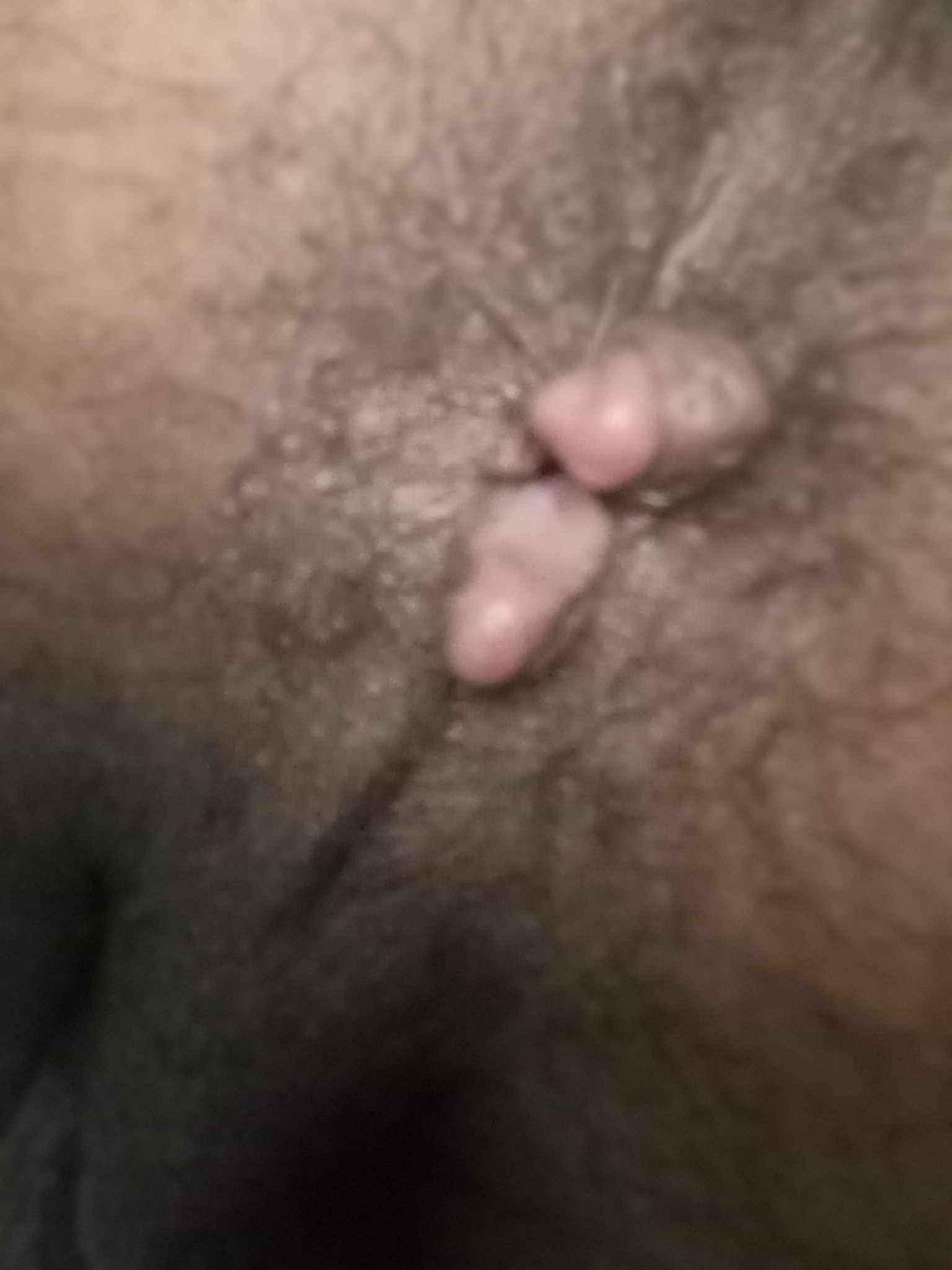 WhatsApp-Image-2024-10-29-at-02.35.07_3ee7a4d5